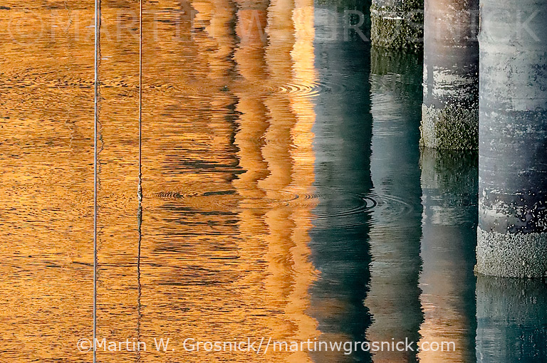 Dock Pilings