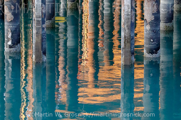 Dock Pilings