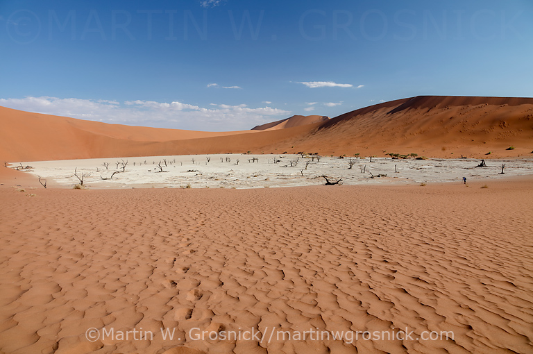 Dead Vlei