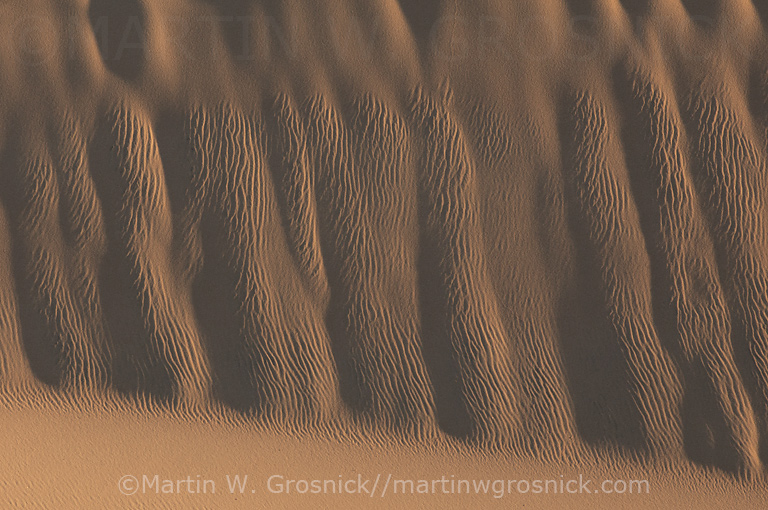 Sand Dune Details