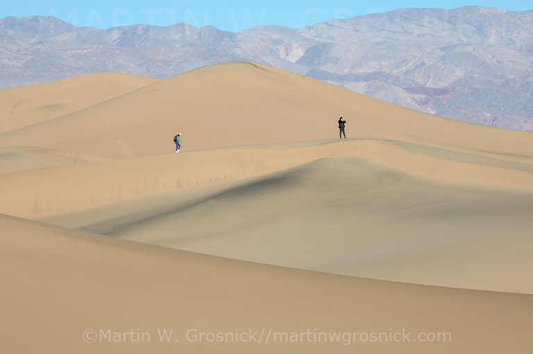 Dune Walkers