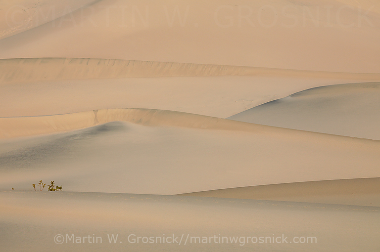 Sand Dunes