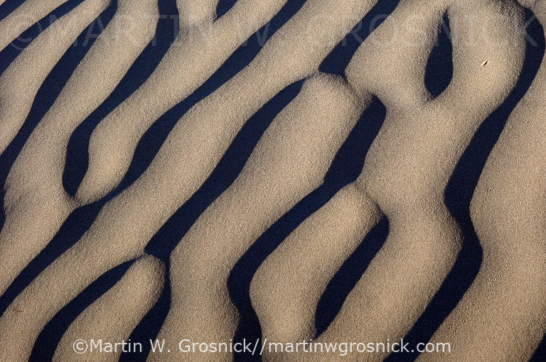 Sand Ripples