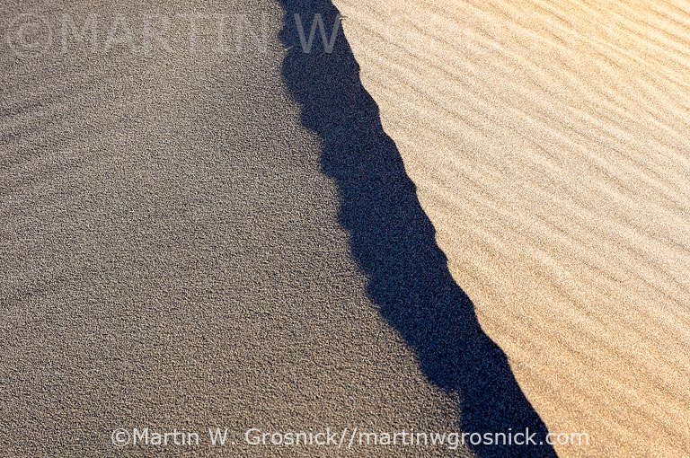 Sand Dune