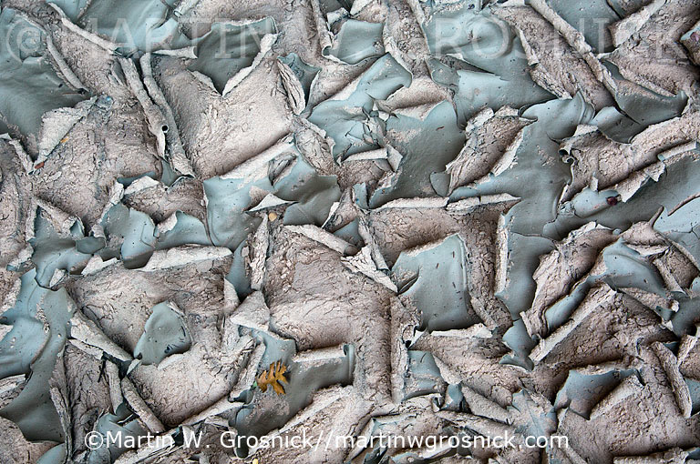 Cracked Mud